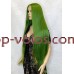 Перука на сітці зелена довга Lace Wig Super Straight тон GREEN термостійка Перука на сітці зелена довга Lace Wig Super Straight тон GREEN термостійка
